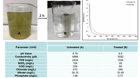 FINALLY TREATED EFFLUENT FROM A SLAUGHTERHOUSE, UP, INDIA